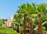 Ôclub Experience Grand Hotel Holiday Resort 4* - 12