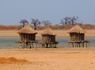 Circuit Sénégal, entre savane et plage du Framissima Riu Baobab ***** - 1