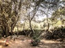 Camping Olva, 3* - 11
