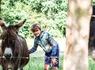 Séjour dans les Ardennes avec diner + wellness + piscine - 3* - 13