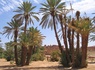 Circuit Voyage en liberté, Marrakech, oasis et désert de Zagora - 10