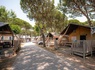 Camping Cavallino, 4* - 85