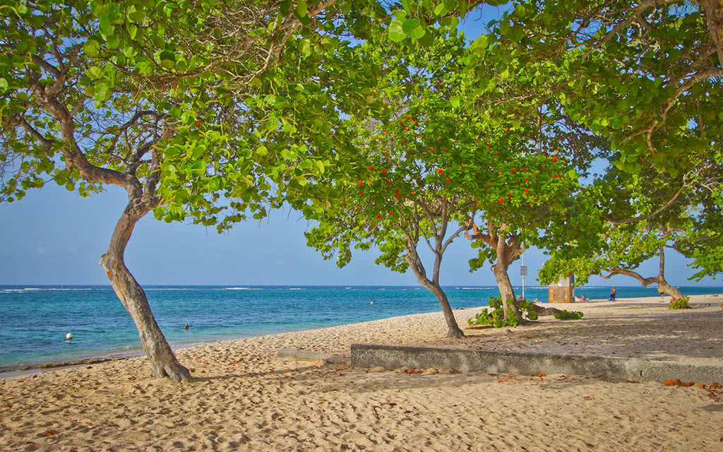 Résidence Tropicale - Location de voiture incluse - 3