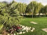 Belvedere Village - 42