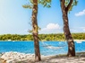 Camping Puntica - 4