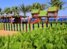 Sharm Club Beach Resort - 7
