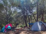 Flower Camping Torraccia 3* - 31