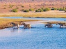 Circuit Inoubliable Botswana - 14