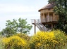 Prenez de la hauteur en famille en séjournant en cabane dans les arbres près de Poitiers - 4* - 2