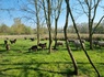 Camping Paradis - Domaine de Bellevue, 4* - 144