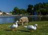 Camping Sites et Paysages, 4* - 25