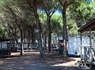 Camping Pineta sul Mare, 3* - 101