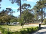 Camping Caminha 3* - 21
