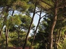 Camping Résidentiel La Pinède, 4* - 26