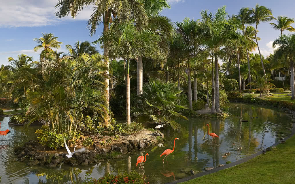 Hôtel Melia Punta Cana Beach Resort 5* - 1