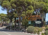 Camping Sènia Cala Gogo Internacional, 4* - 60