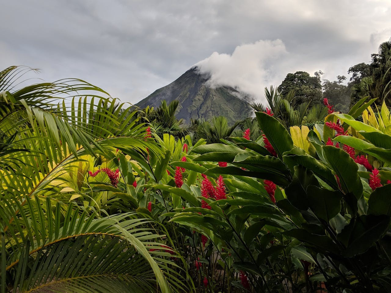 circuit-les-tresors-du-costa-rica-2027