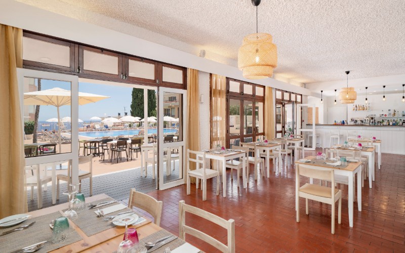 Portugal - Funchal - Estrelicia - Madère