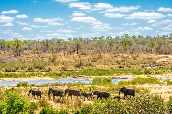 splendeurs-du-parc-kruger-et-extension-chutes-victoria