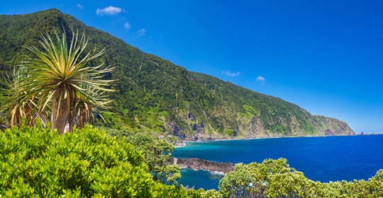 Madère - Ile de Madère - Séjour Funchal Saveur Nature 4*