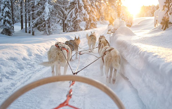 noel-en-famille-entre-traditions-suedoises-et-aventures-nordiques-7j/6n