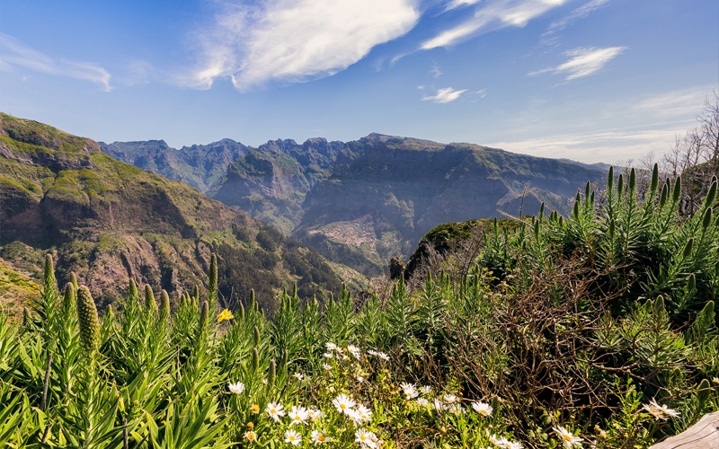Séjour Découverte Top Culture à Machico - Flex - Madère 4*