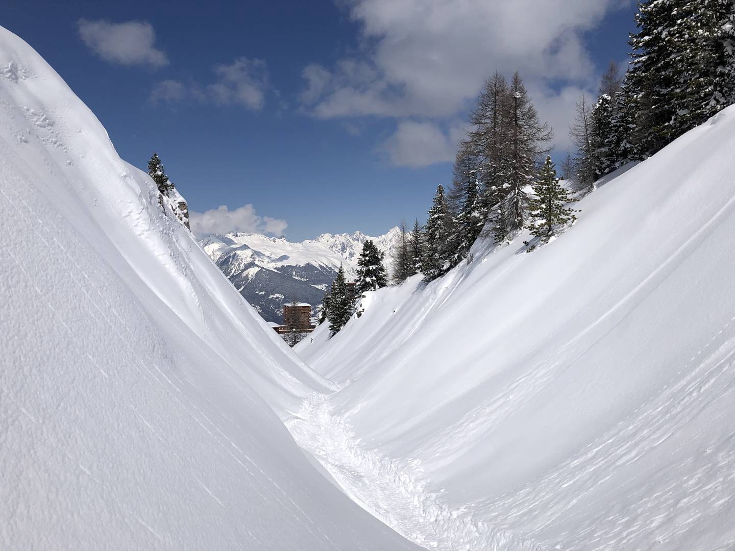 Grand Studio 3/4 pers - LE KILIMANDJARO - PLAGNE CENTRE - ref 021KI - 9