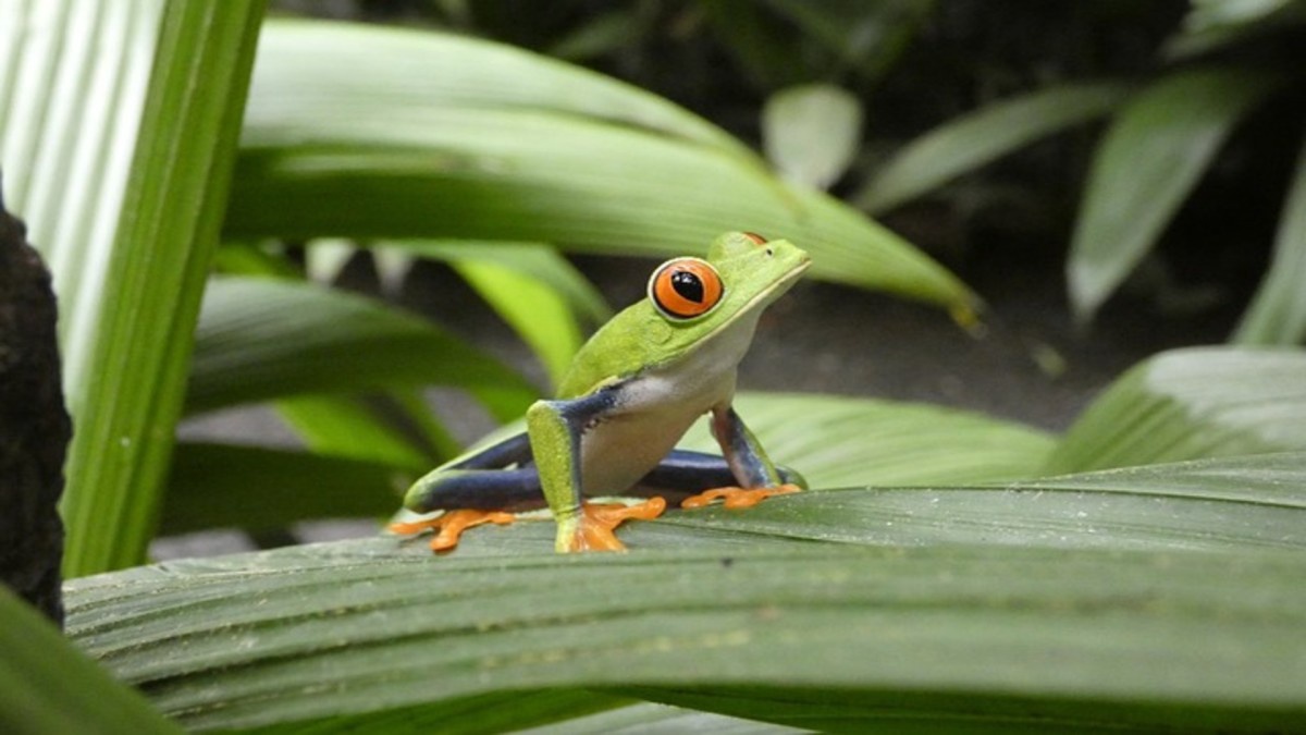 circuit-les-tresors-du-costa-rica