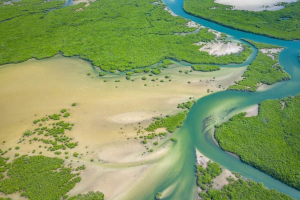 circuit-au-coeur-du-senegal-et-ses-mangroves