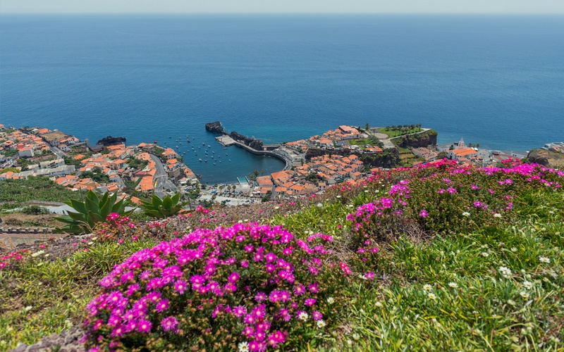 Au coeur de Madère - Logement en hôtel 5* à Funchal - Flex - Madère - 3