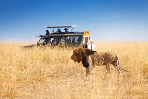 circuit-paysages-sud-africains-3
