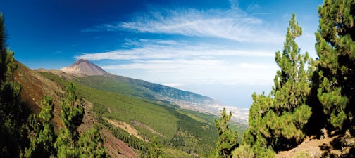 Canaries - Tenerife - Espagne - Circuit Au Coeur De Tenerife 4*
