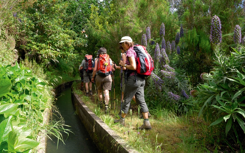 Portugal - Funchal - Madère Saveur Rando 4* - Madère
