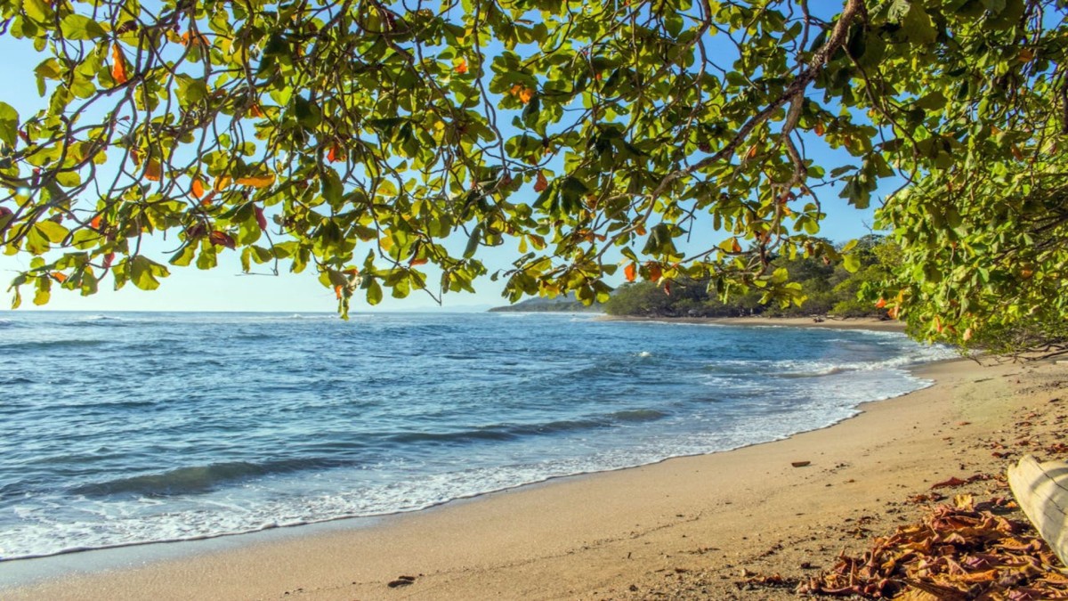 rendez-vous-en-terre-tica-2026