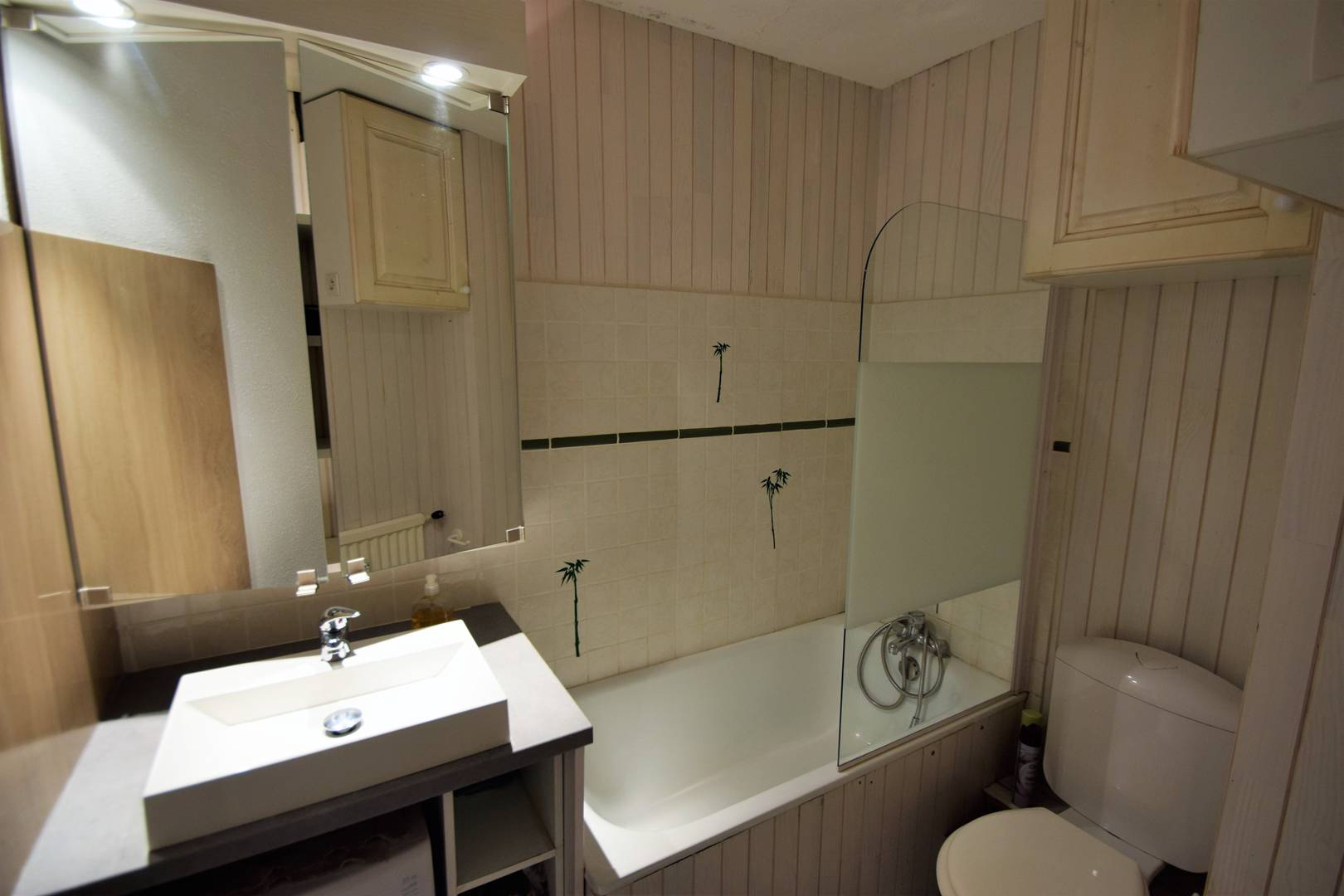 Studio 3/4 pers. - LA TAIGA - PLAGNE CENTRE - ref 037TA - 7