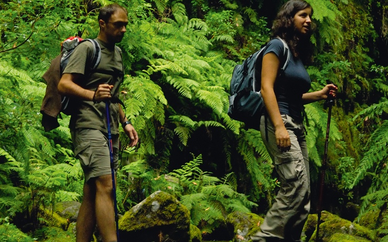 Portugal - Funchal - Madère Saveur Rando 4* - Madère
