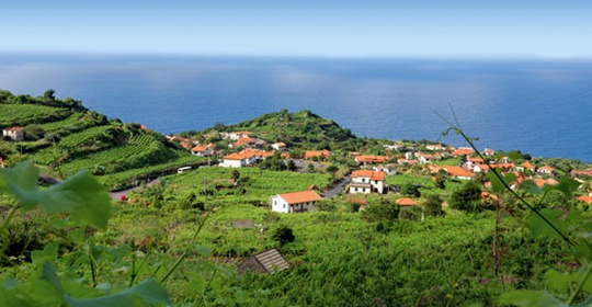 Madère - Ile de Madère - Séjour découverte à Funchal 3* - Madère