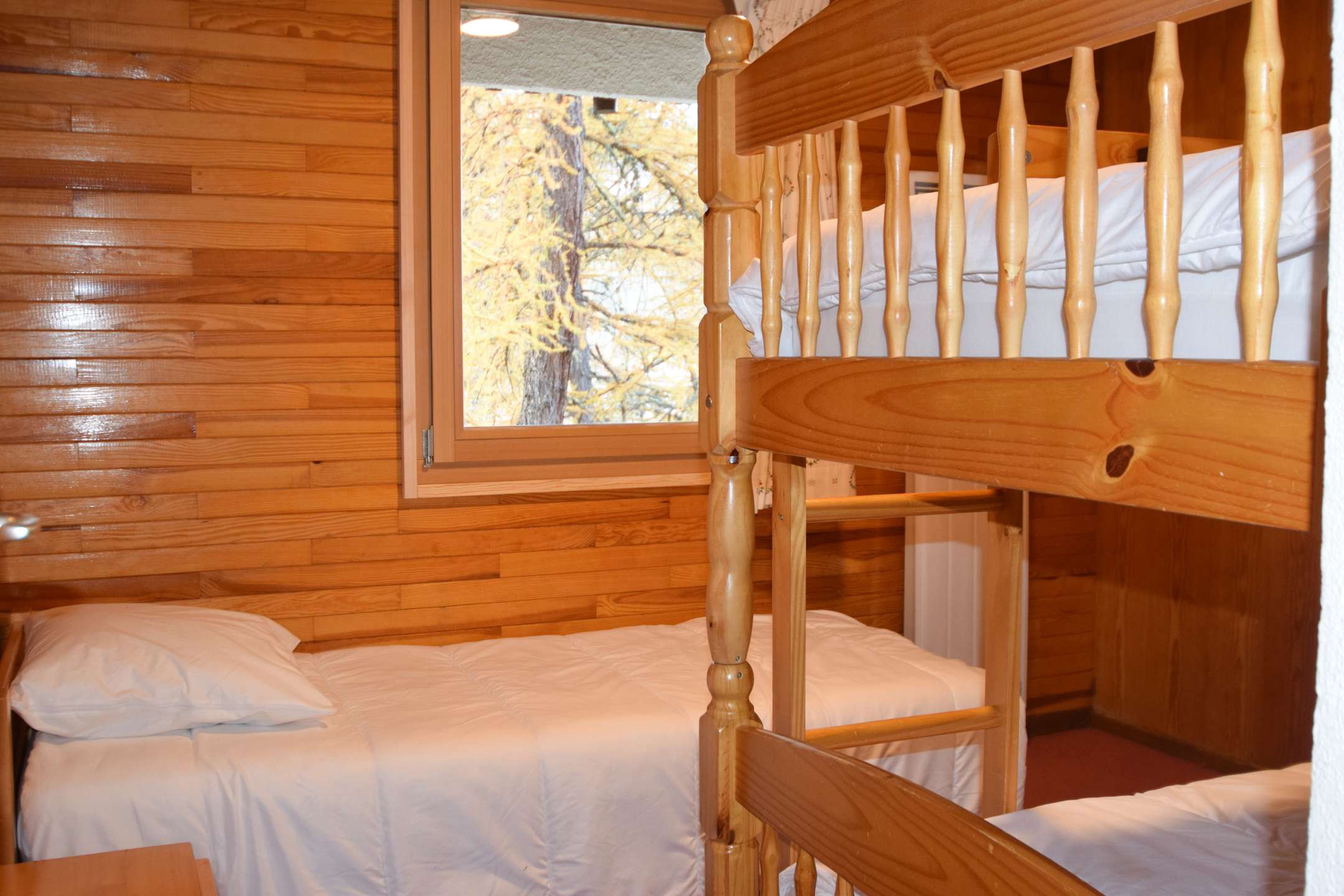 Chalet Boulevard -8 pers - PLAGNE CENTRE, sur les pistes - wifi - ref CTBOU - 10