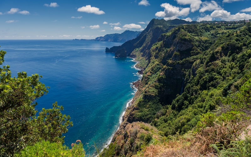 Madère en liberté - Flex - Madère