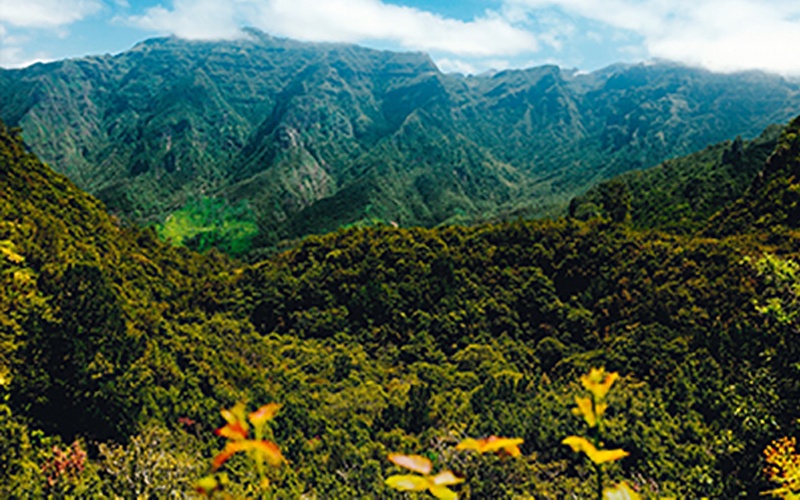 Portugal - Funchal - Madère Saveur Rando 4* - Madère